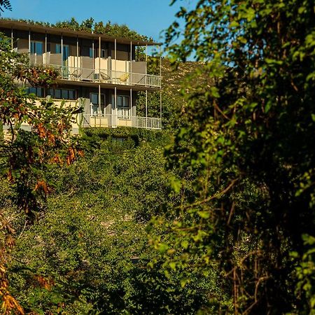 Theoxenia Hotel Andritsaina Luaran gambar