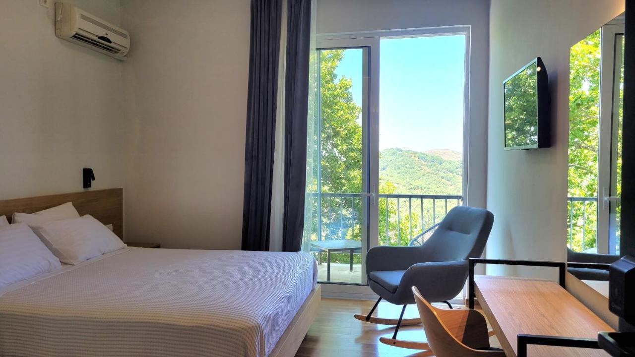 Theoxenia Hotel Andritsaina Luaran gambar